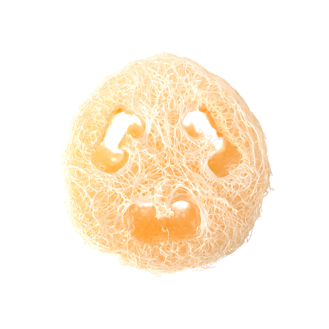 Natural Loofah Disc
