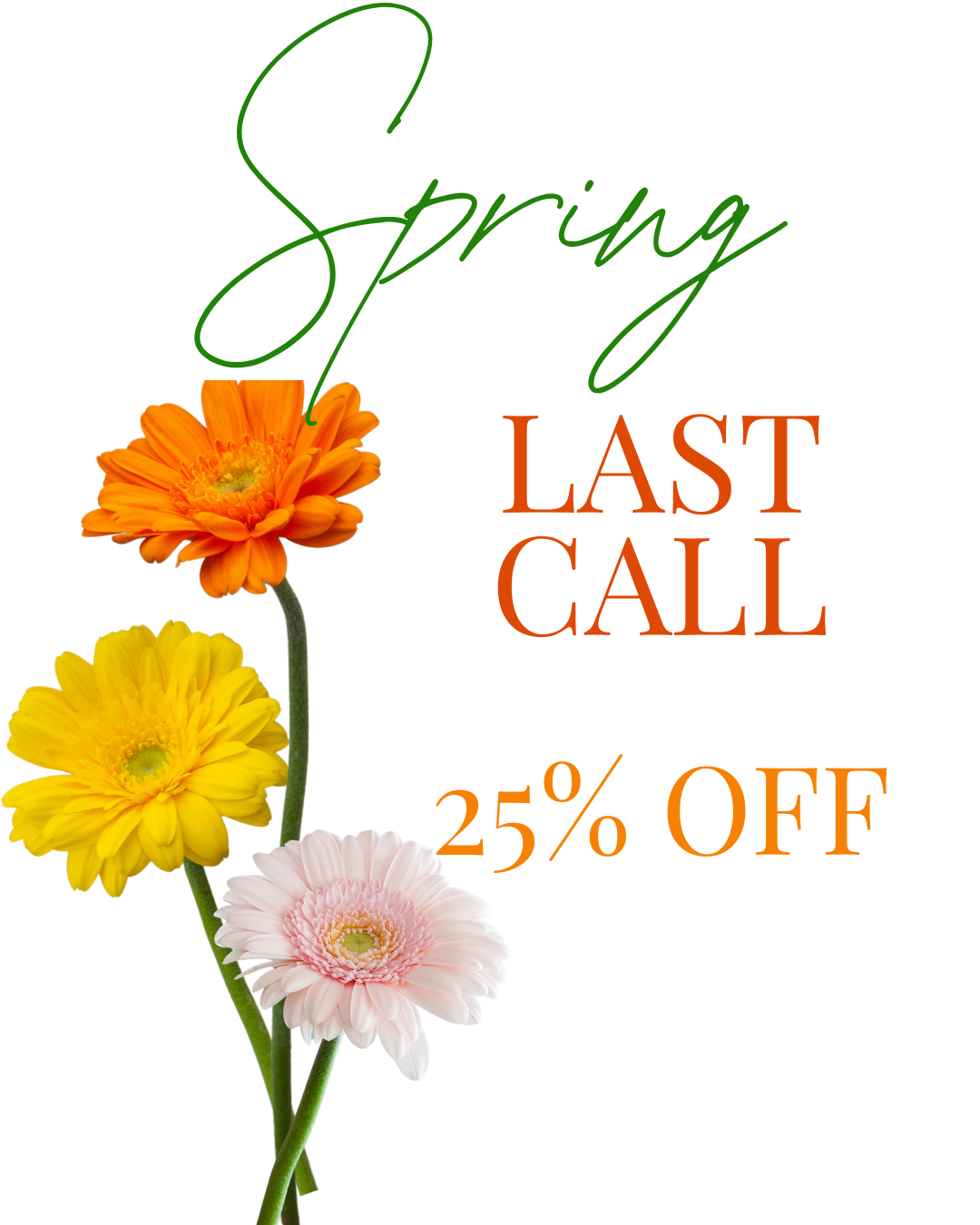 Spring's LAST Call