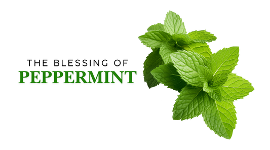 Blessing Of Peppermint Soaps